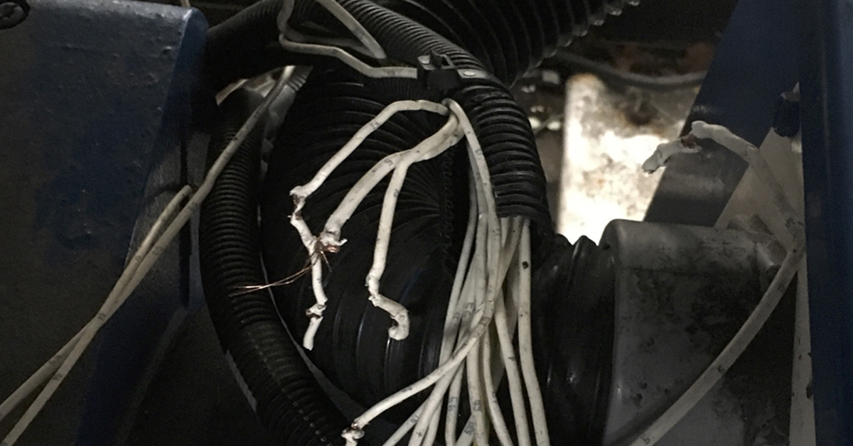 Cables damaged by the fox